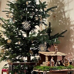 Gesegnete Weihnachten!